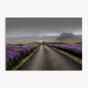 poster-photo-100x150-horizontal