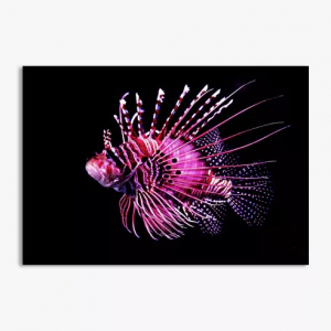 poster-photo-70x100-horizontal